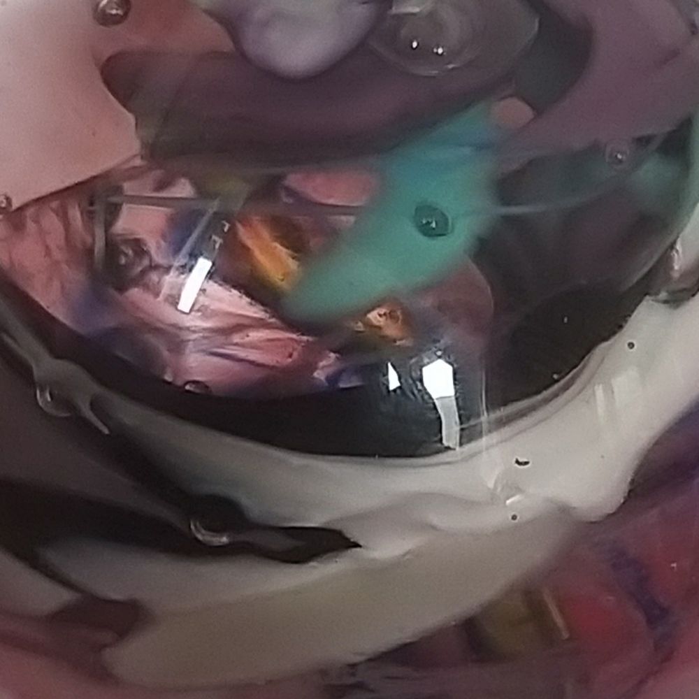 freddie fishfacee
