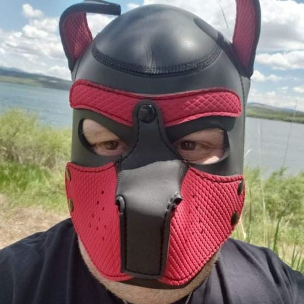 PoundPuppyOberon 