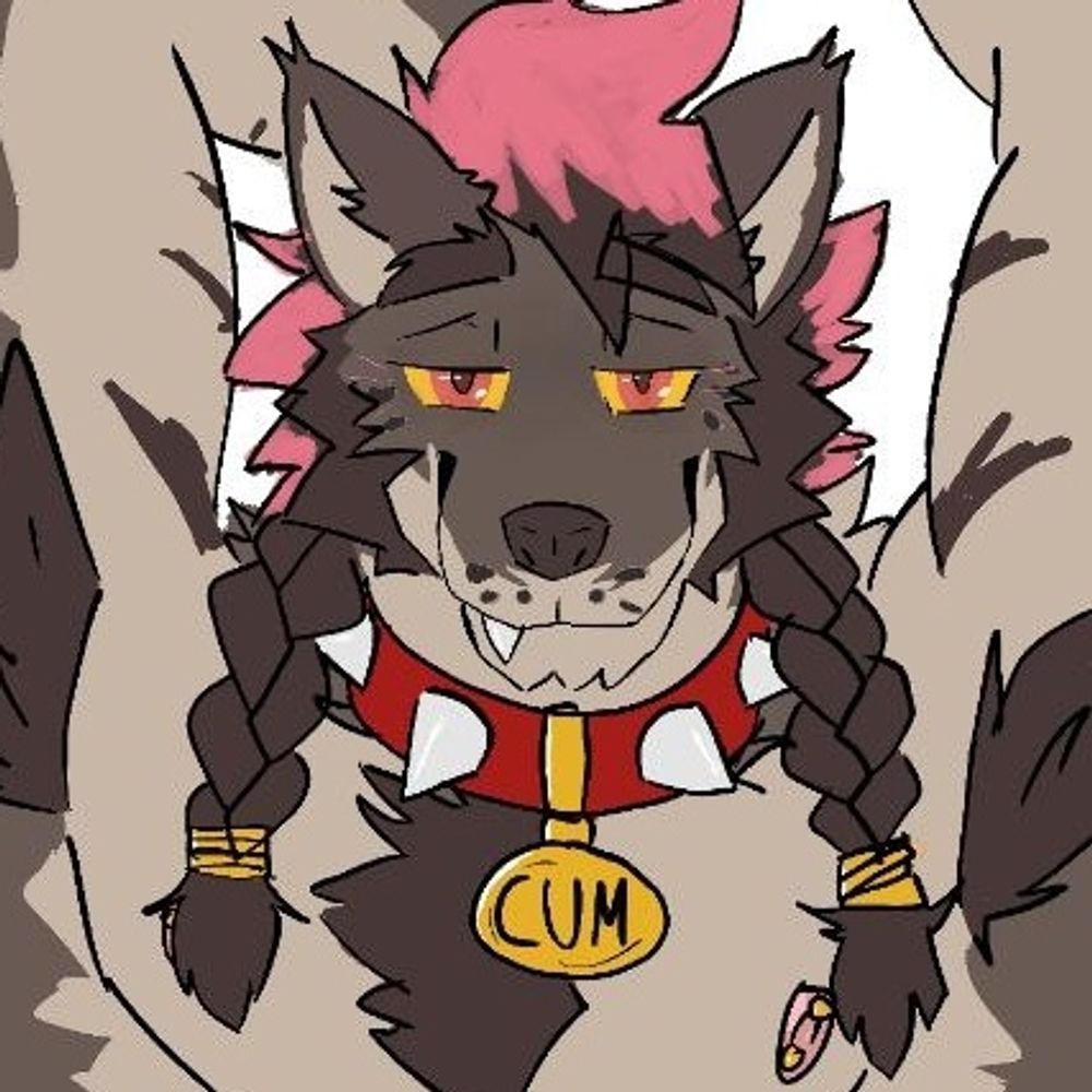 Wolf🐺