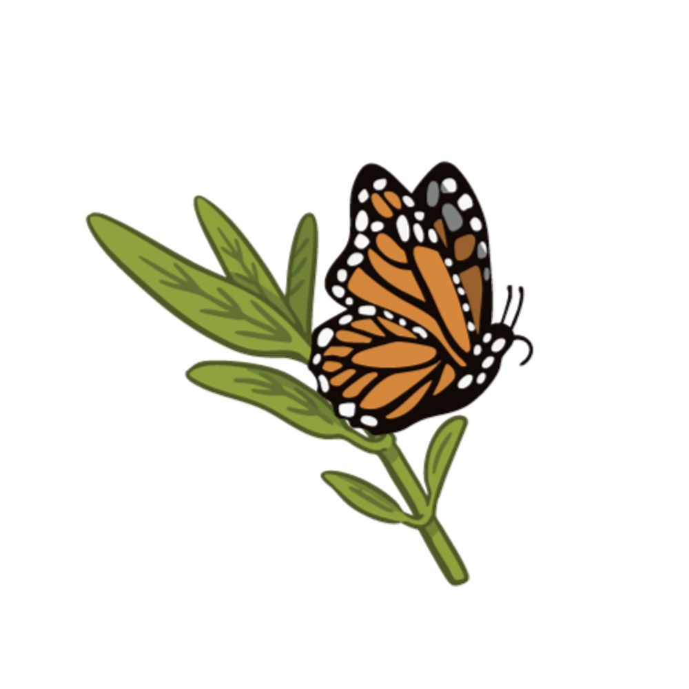Community Conservation Project