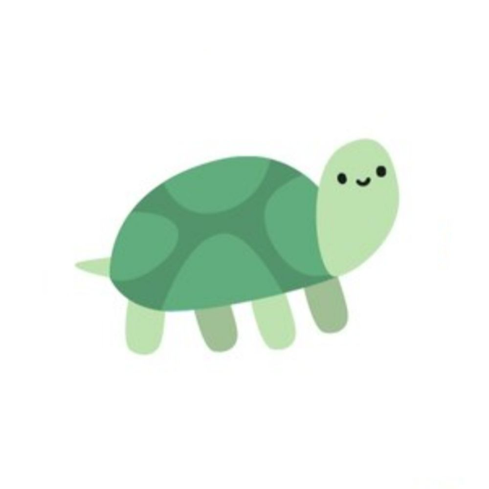 Tiny Turtle