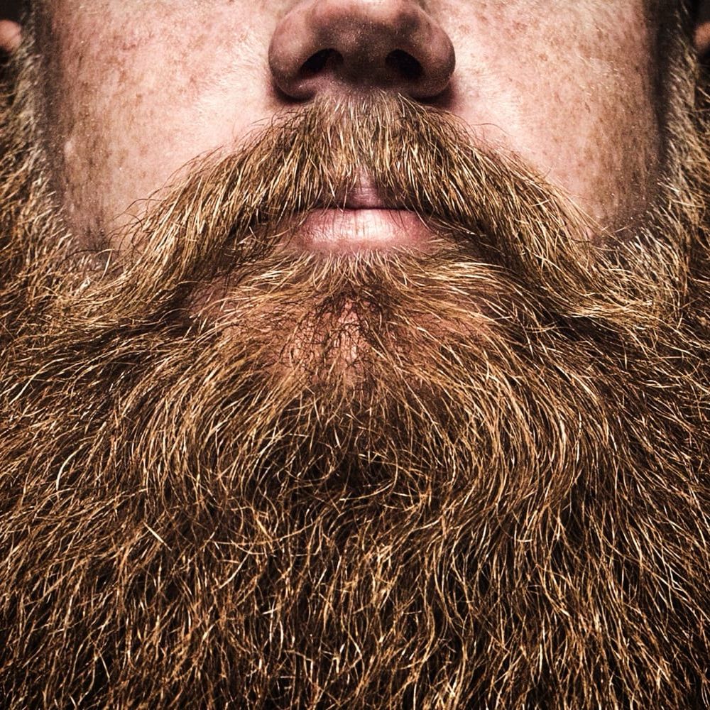 Beard A Day