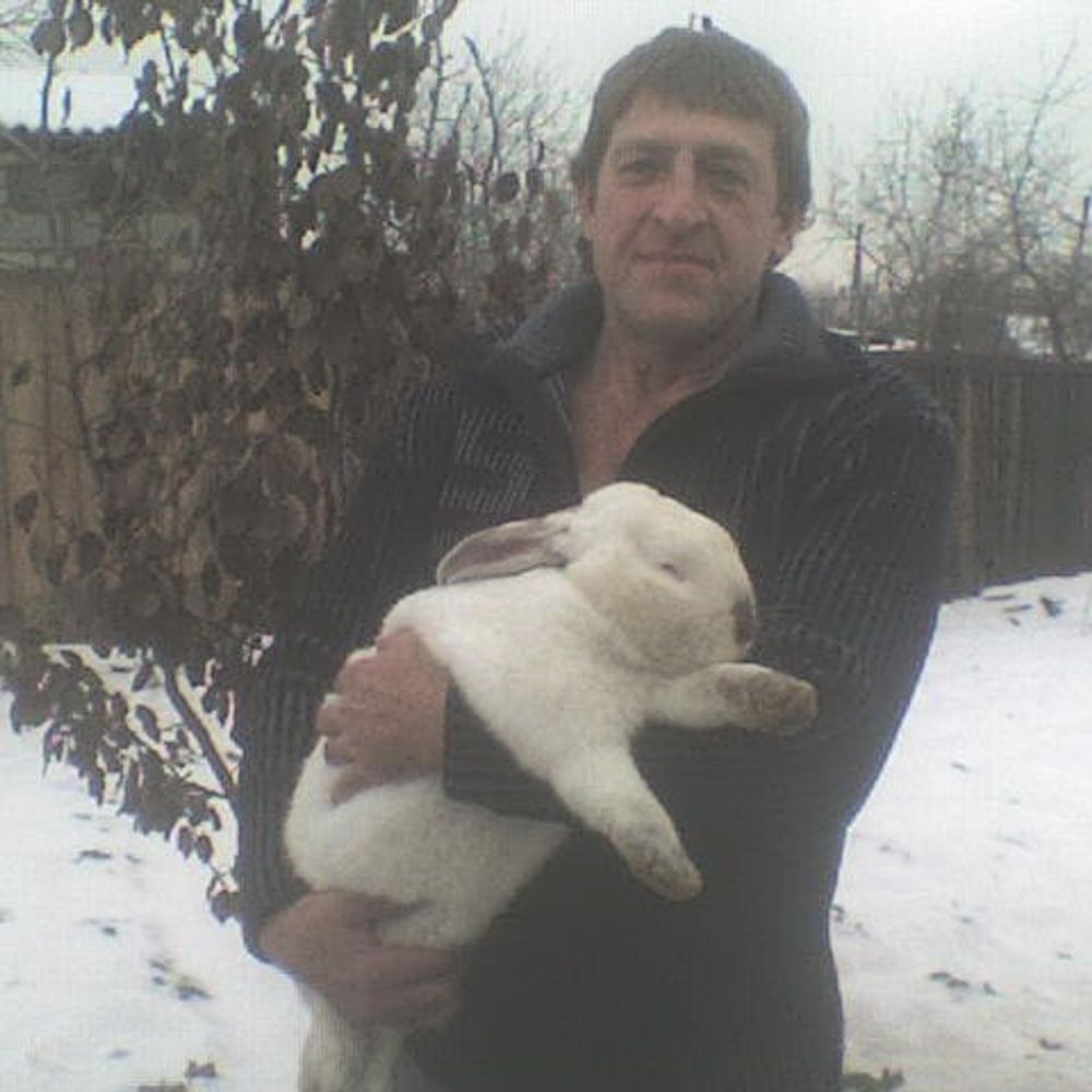 ubobaf.bsky.social profile picture