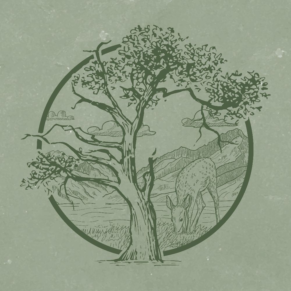 TheSleepingTreeTavern