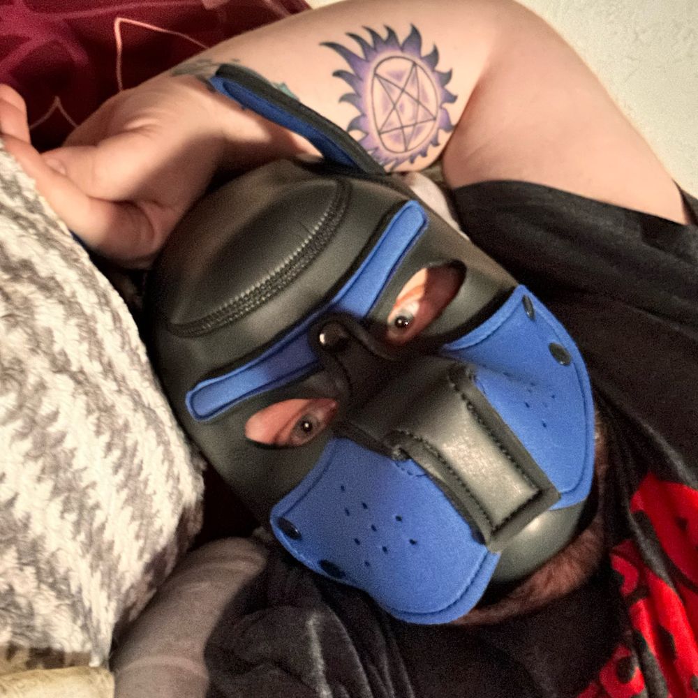 Pup Skyler