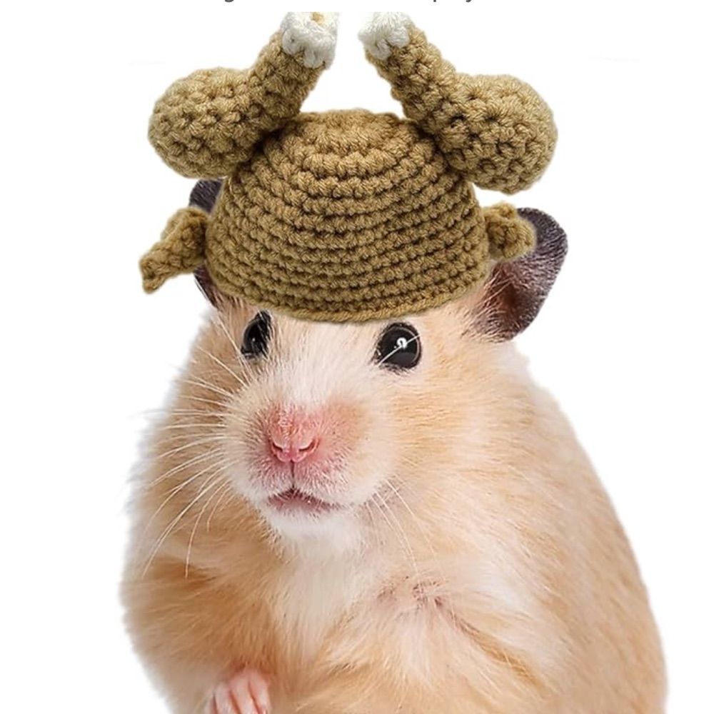 Anastasia Beaverhousen