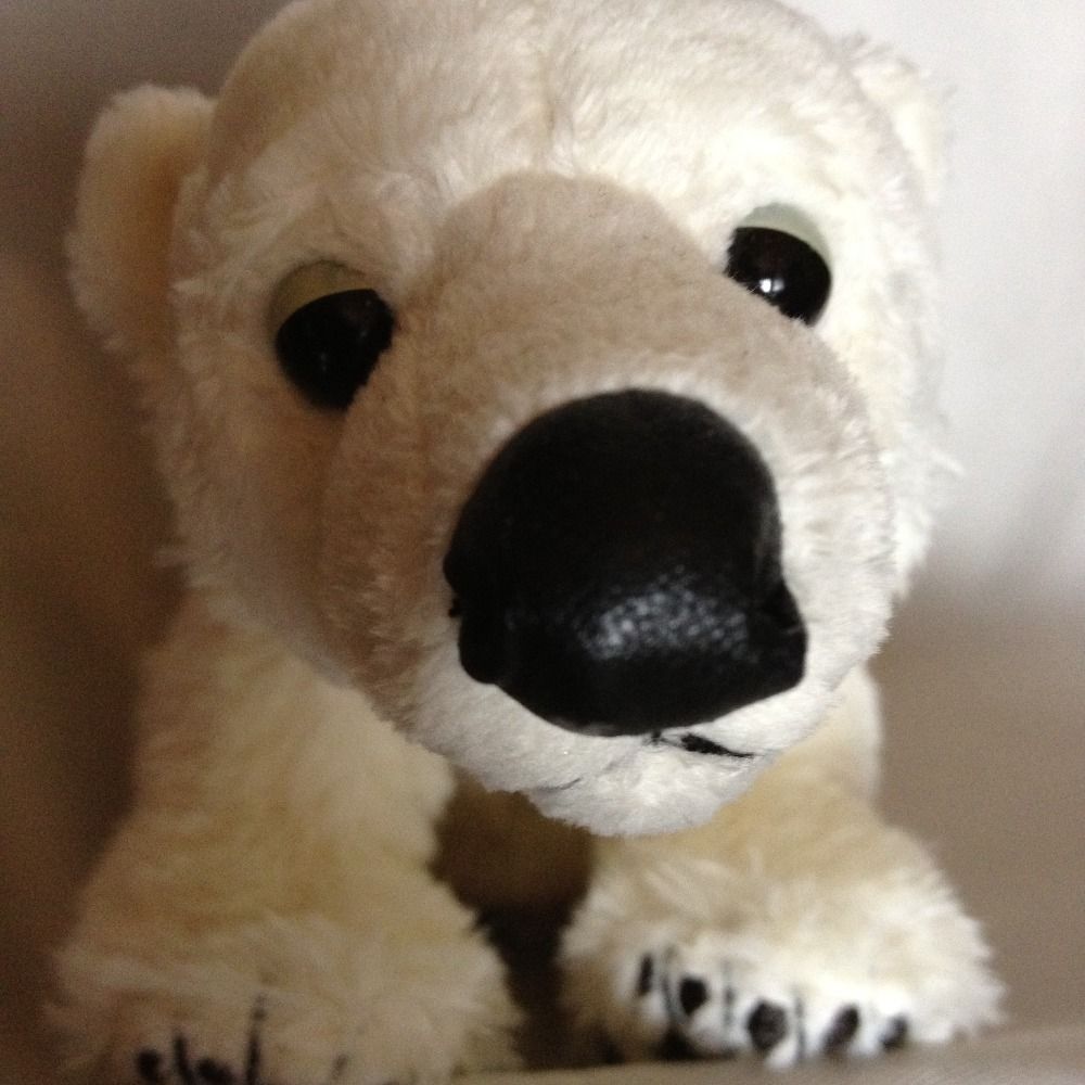WMPBear