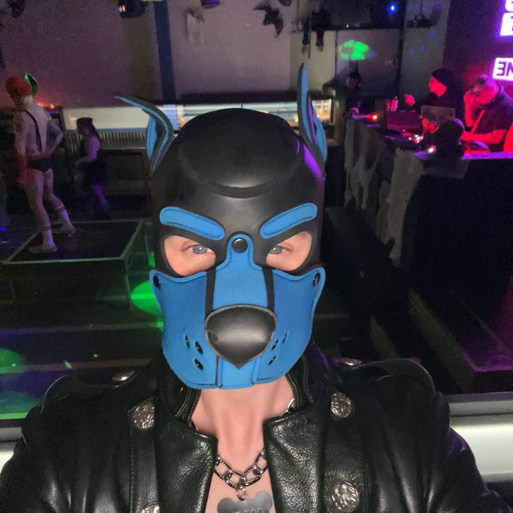 Pup Codex