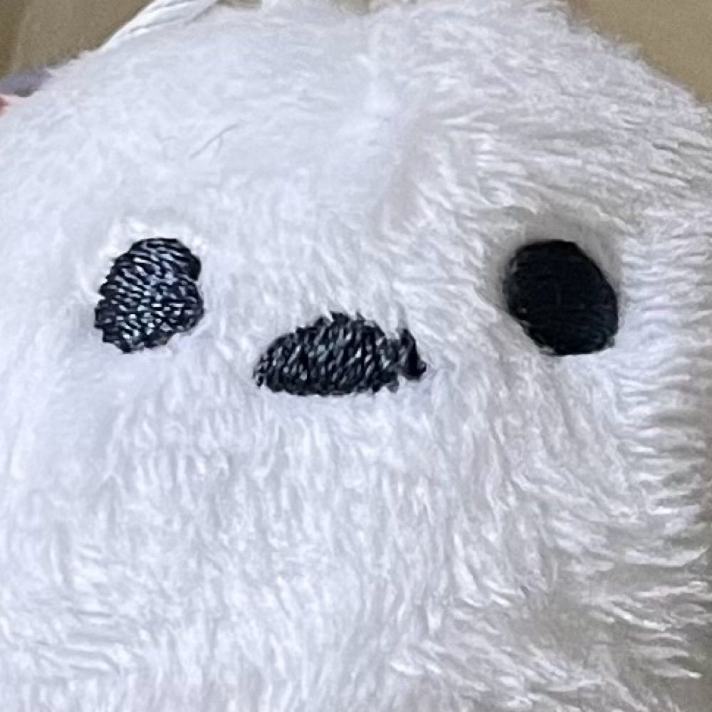 임시계정