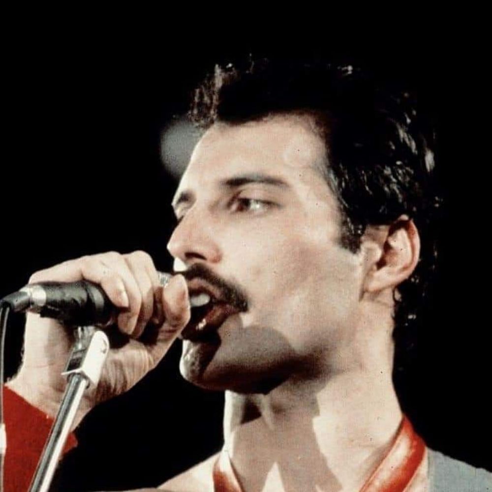 𝙁𝙧𝙚𝙙𝙙𝙞𝙚 𝙈𝙚𝙧𝙘𝙪𝙧𝙮 👑