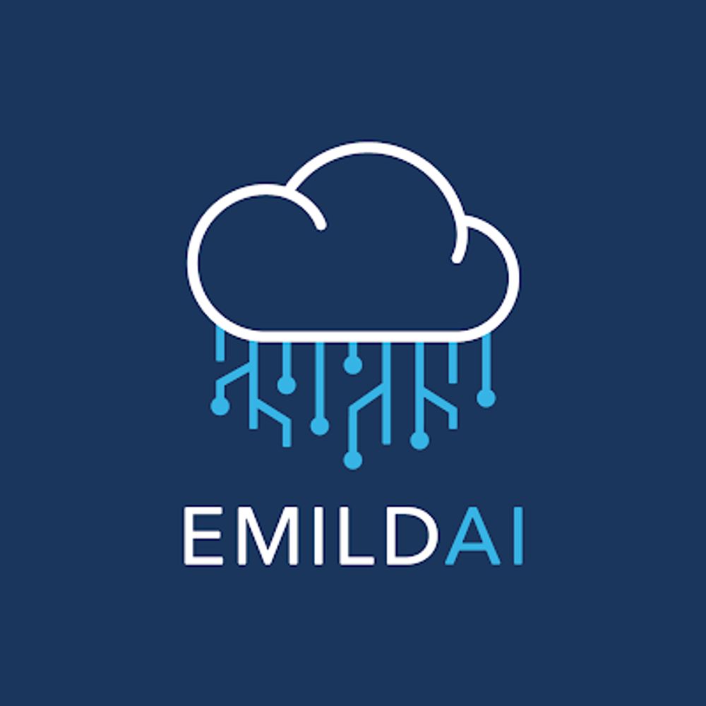 European Master in Law, Data and AI (EMILDAI)