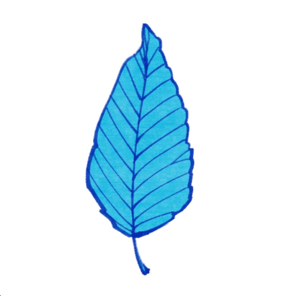Tsute（ツ山ツテ）