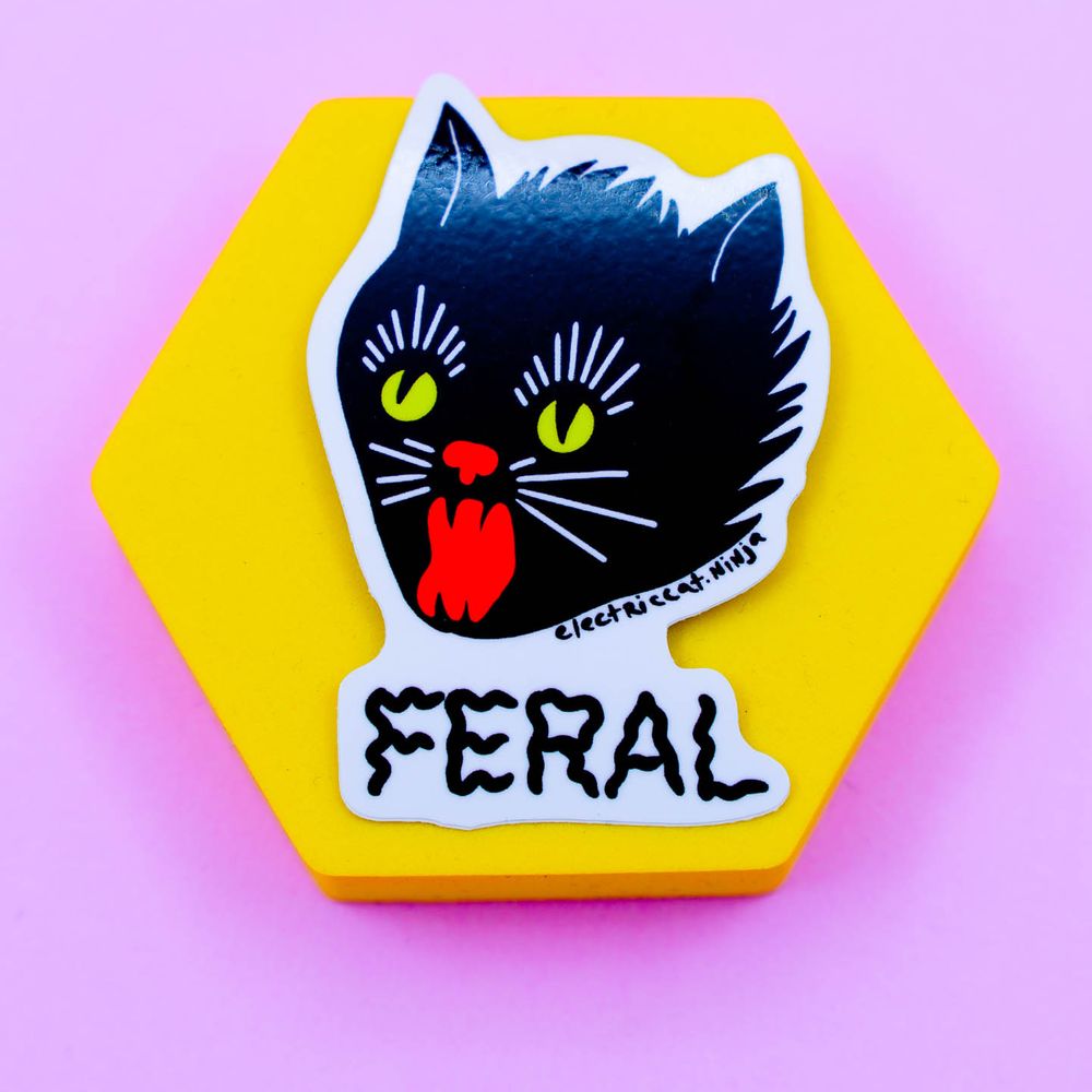ElectricCat.ninja