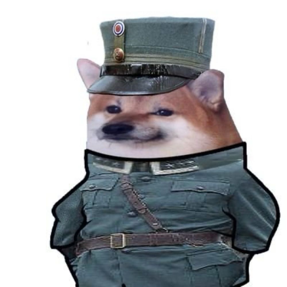 Hella Fella 🇳🇴🎗️🇺🇦🇬🇪🇸🇾