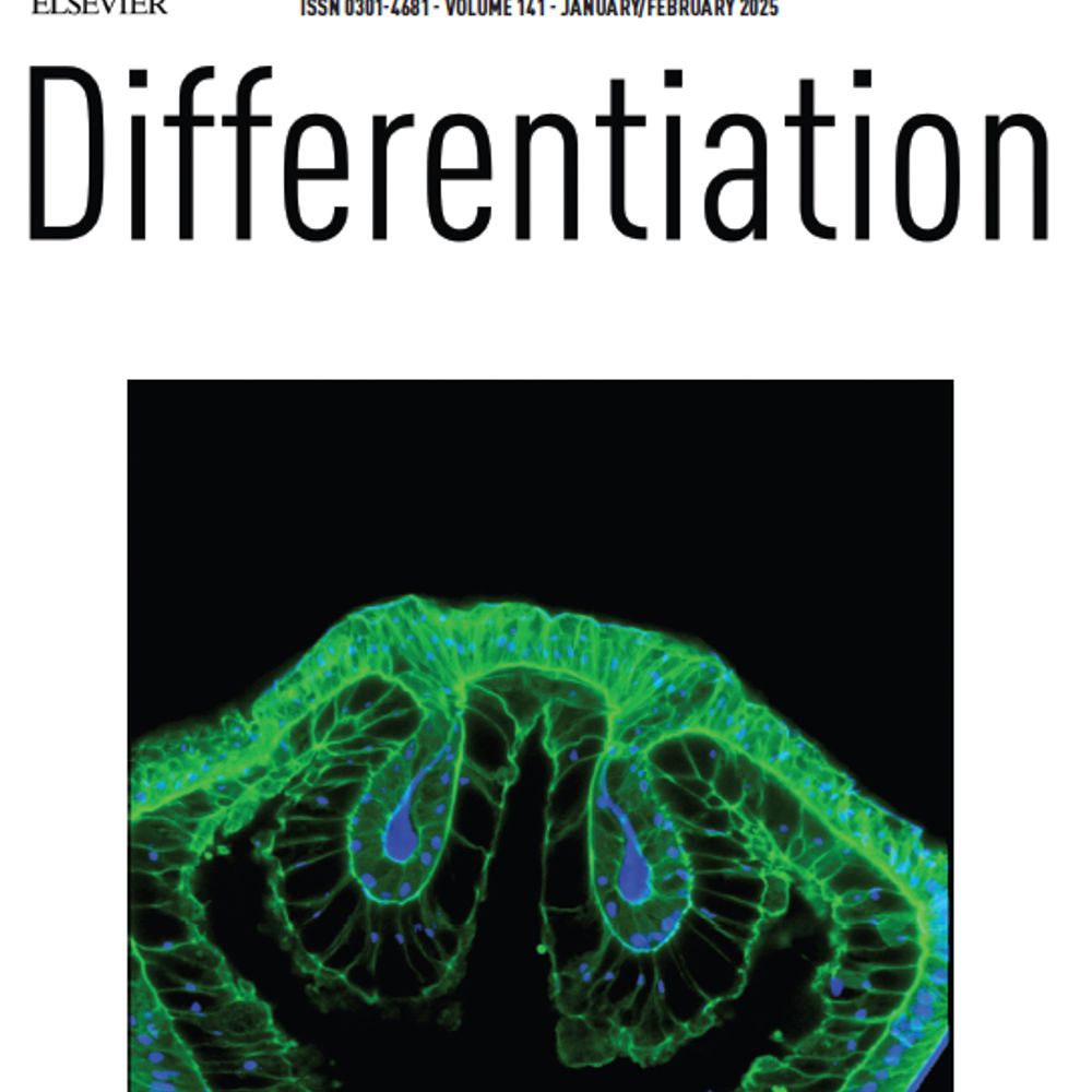 Differentiation Journal