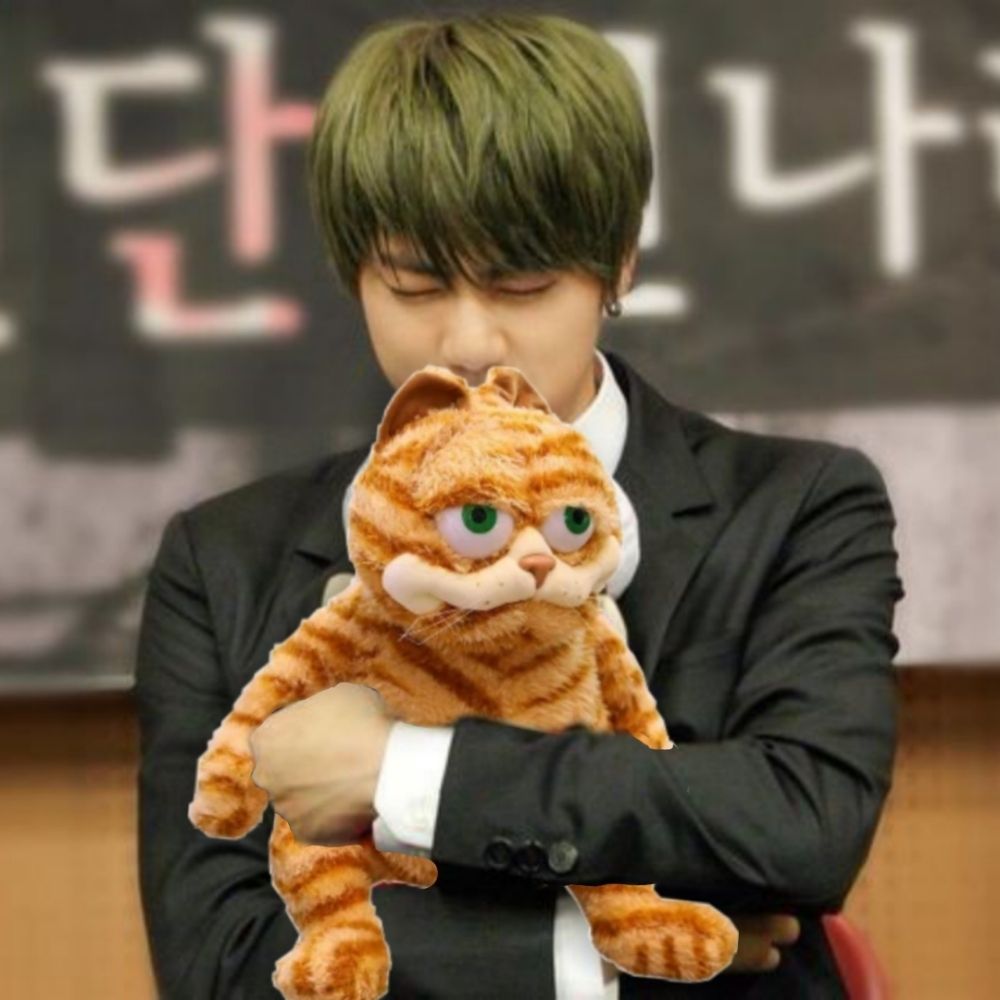 bts and garfield pics