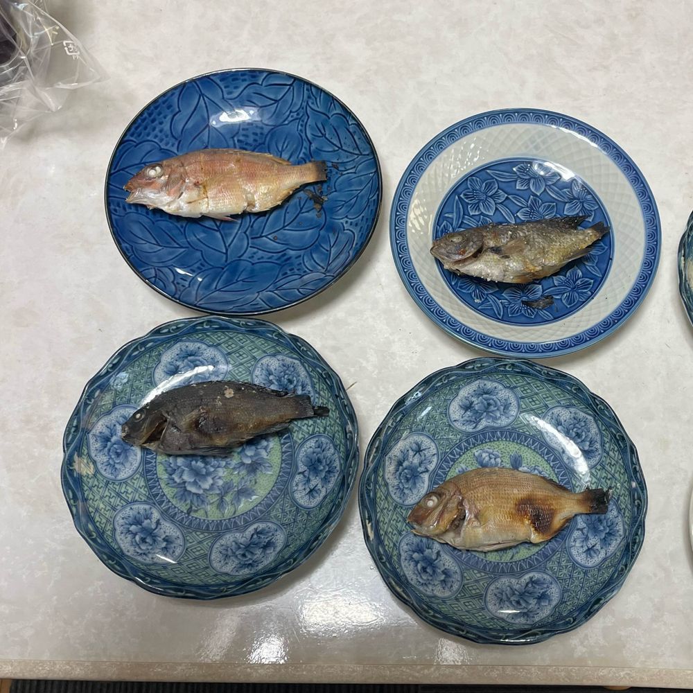 🧂🐟