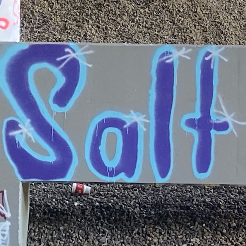 Salt 🏳️‍⚧️