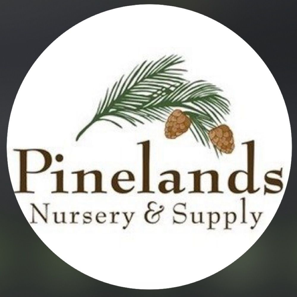 Pinelands Nursery