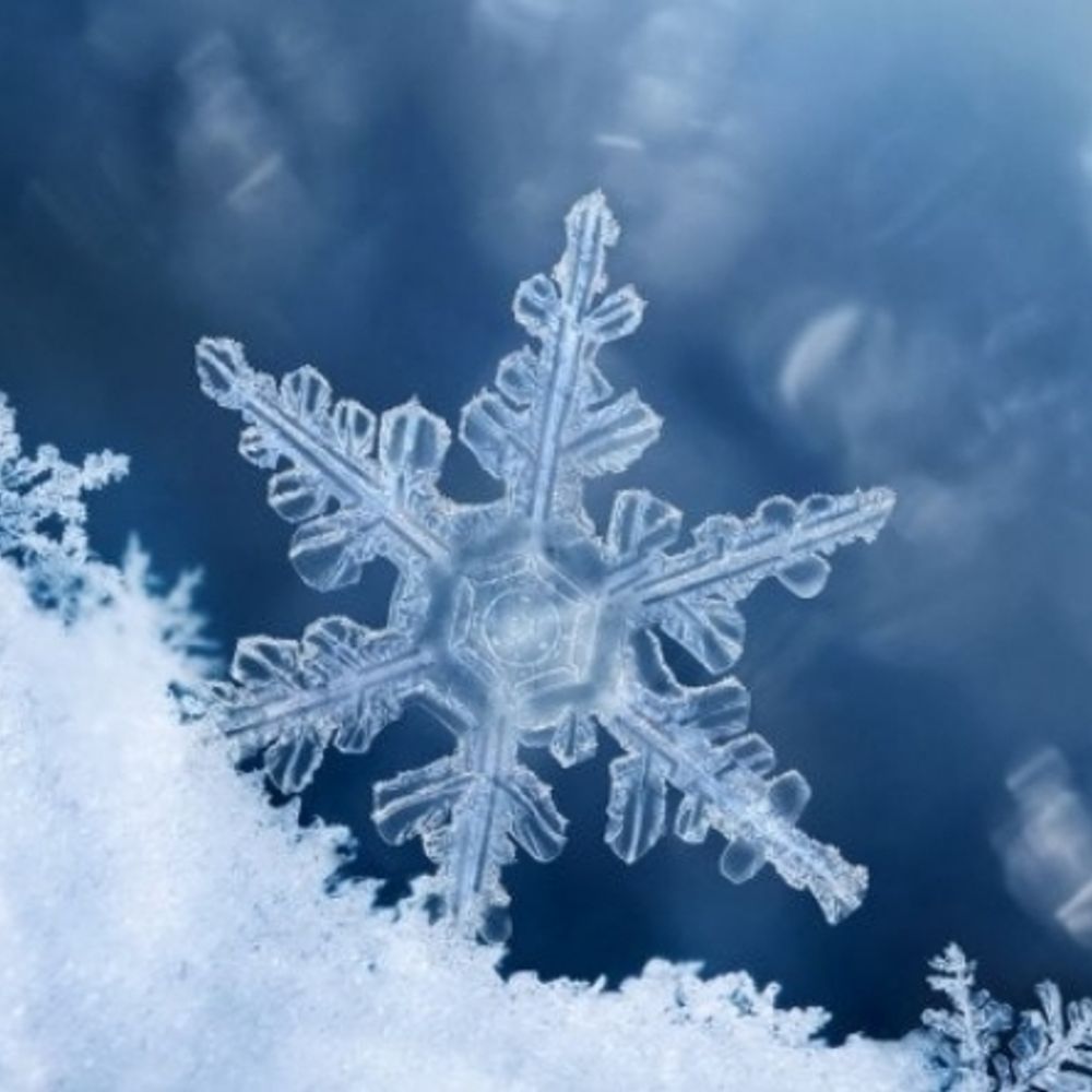 snow♨