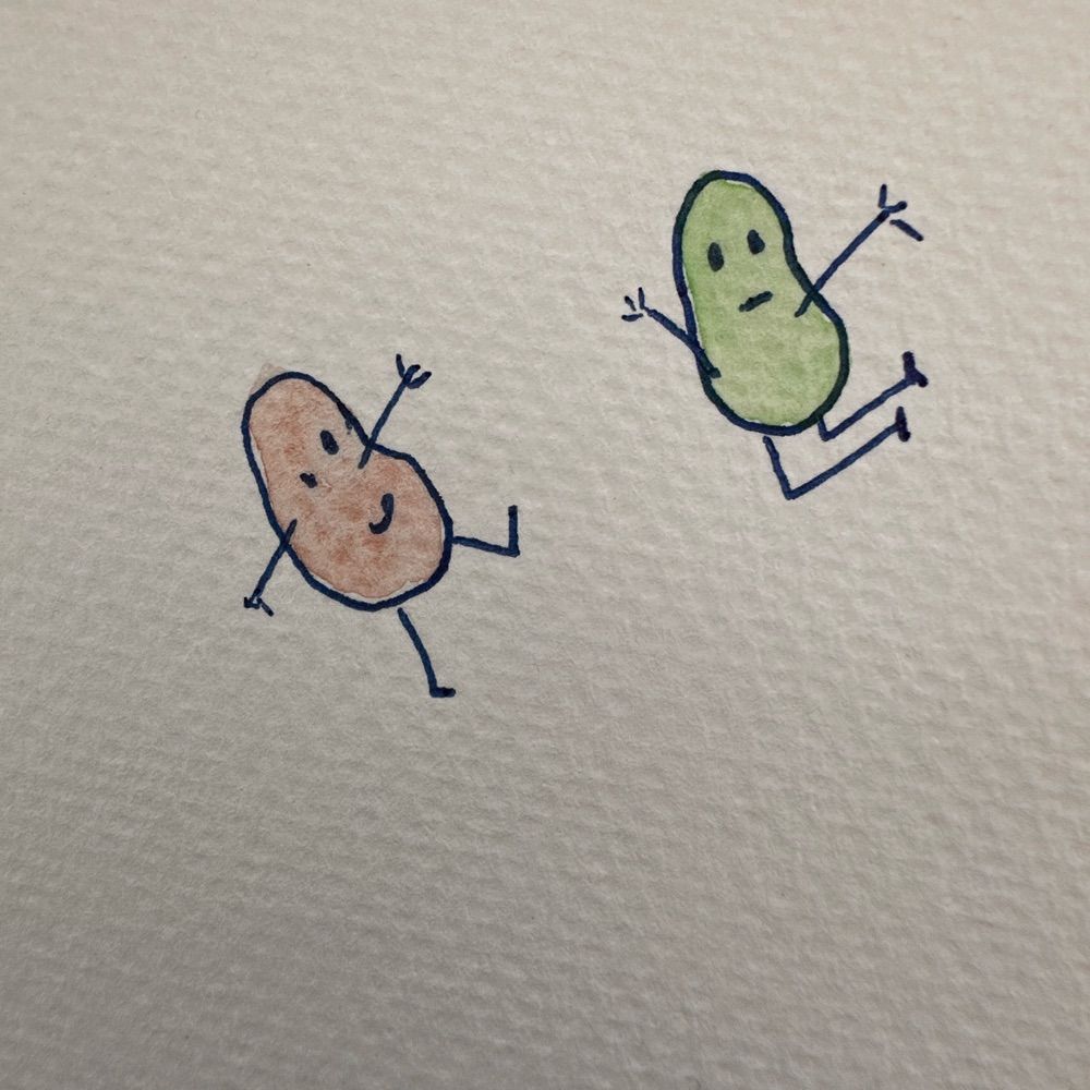 SnacksMcmanus