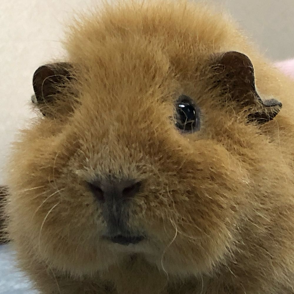 眞田工場長