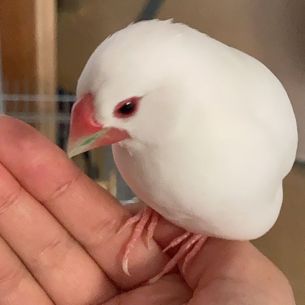 春一