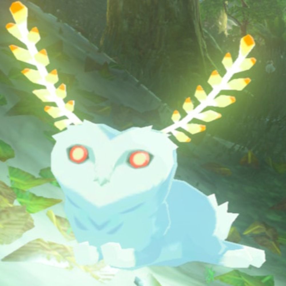 whiterabbit