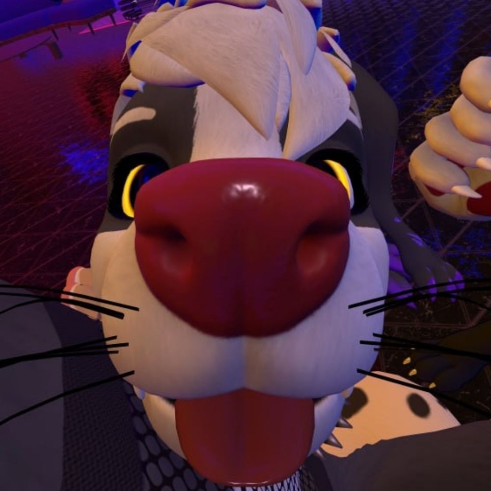 Da Skoog