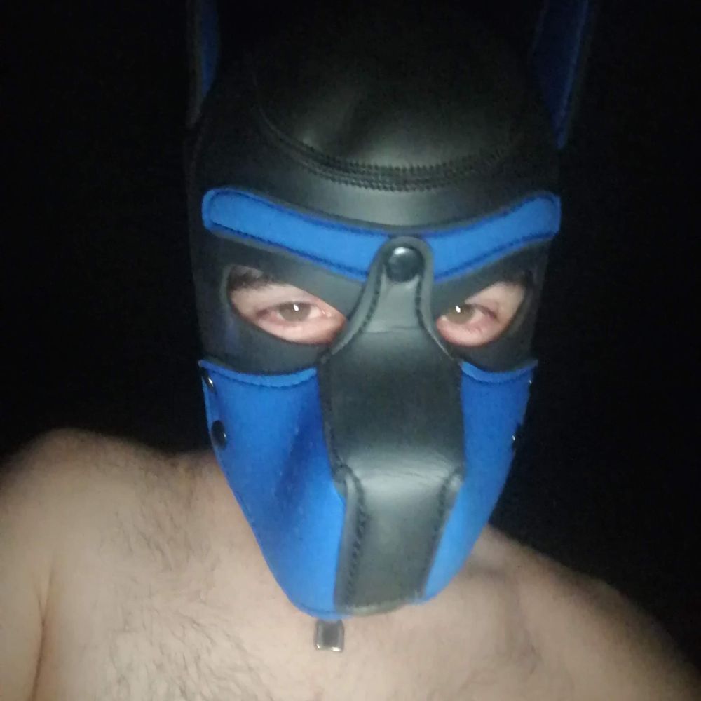 Pup Flaki