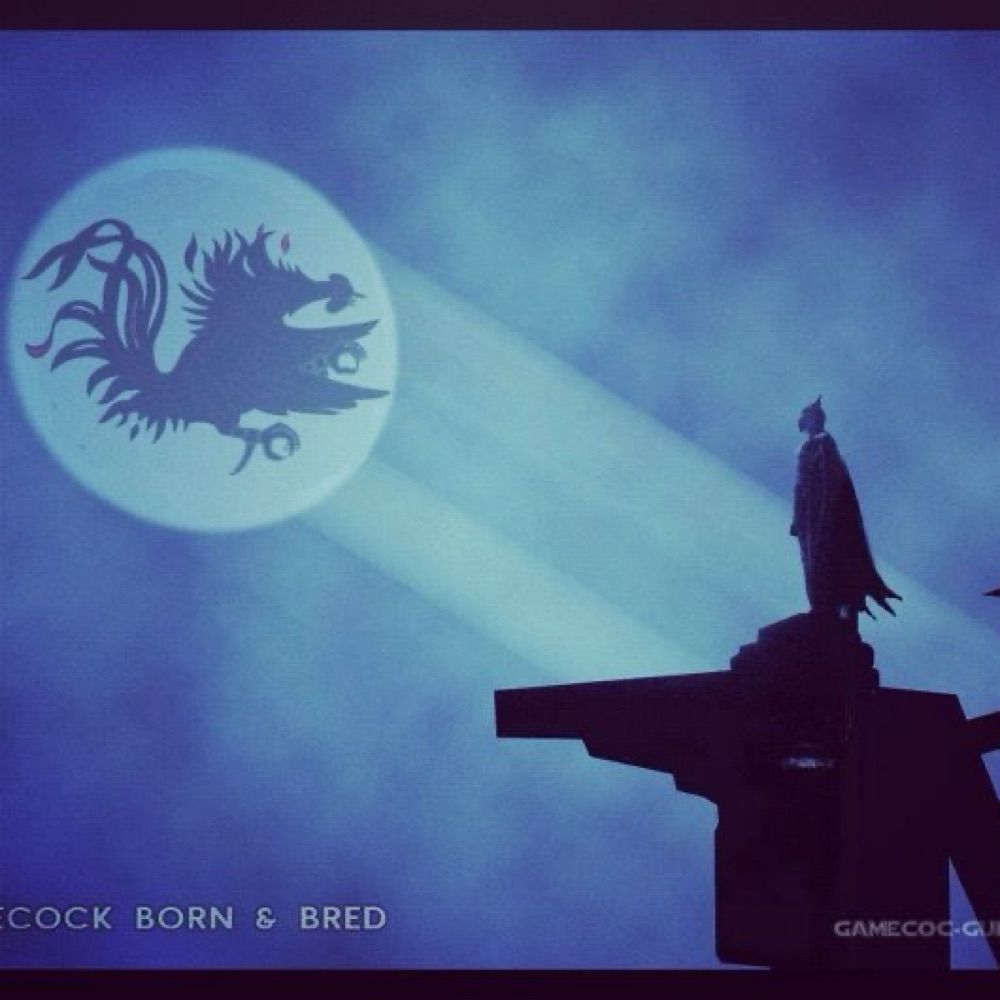 Gamecock Batman
