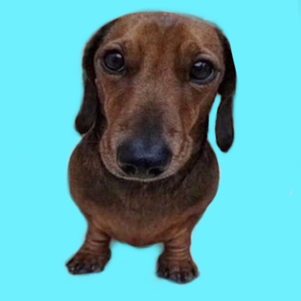 roər awesome account
