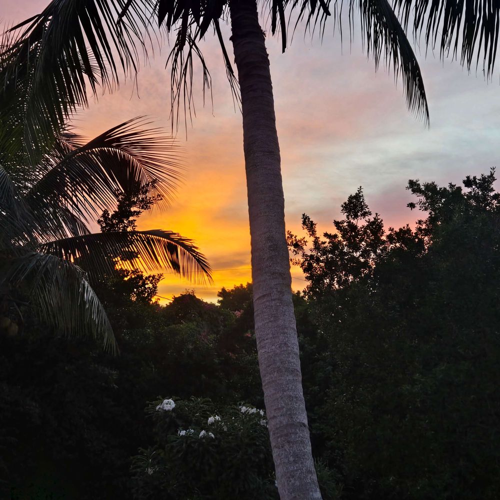 A&S Tropical Cottage