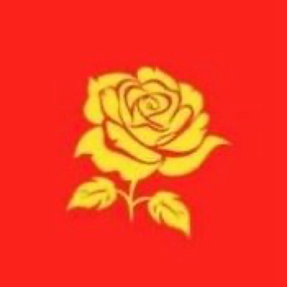 Merton Labour