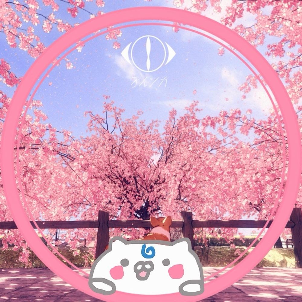 よっぴー