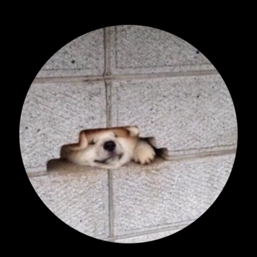 Carambolinho