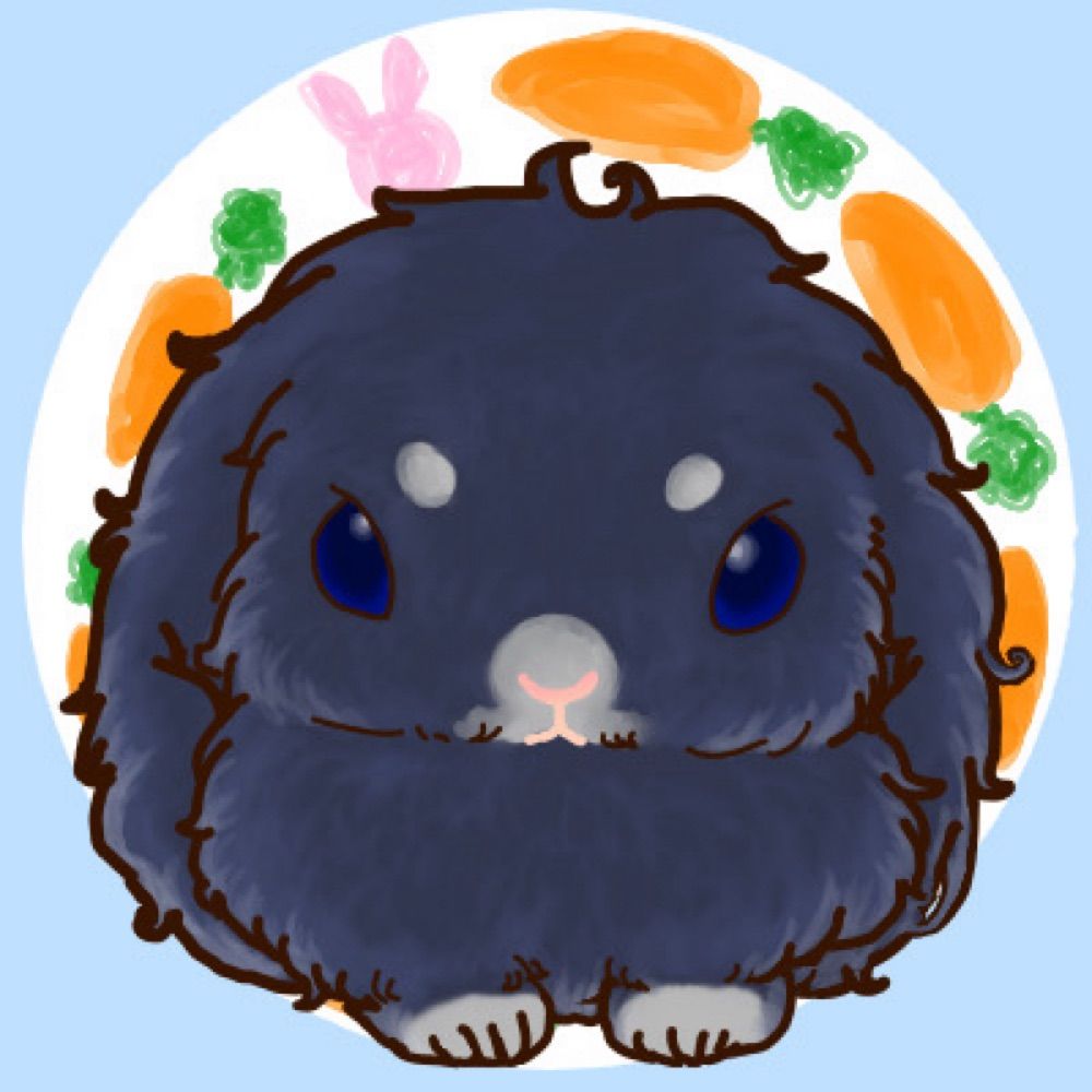 うさぎどん
