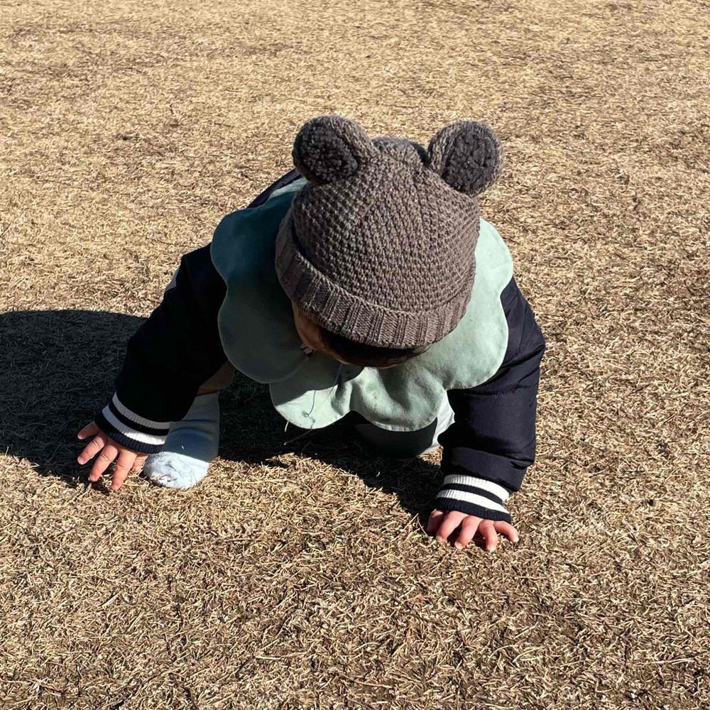 なっぱ