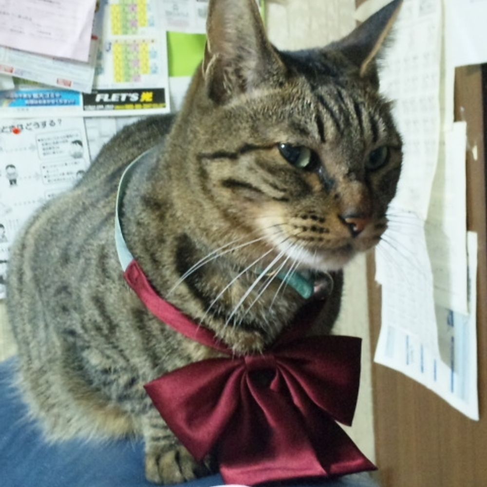 もこもこ