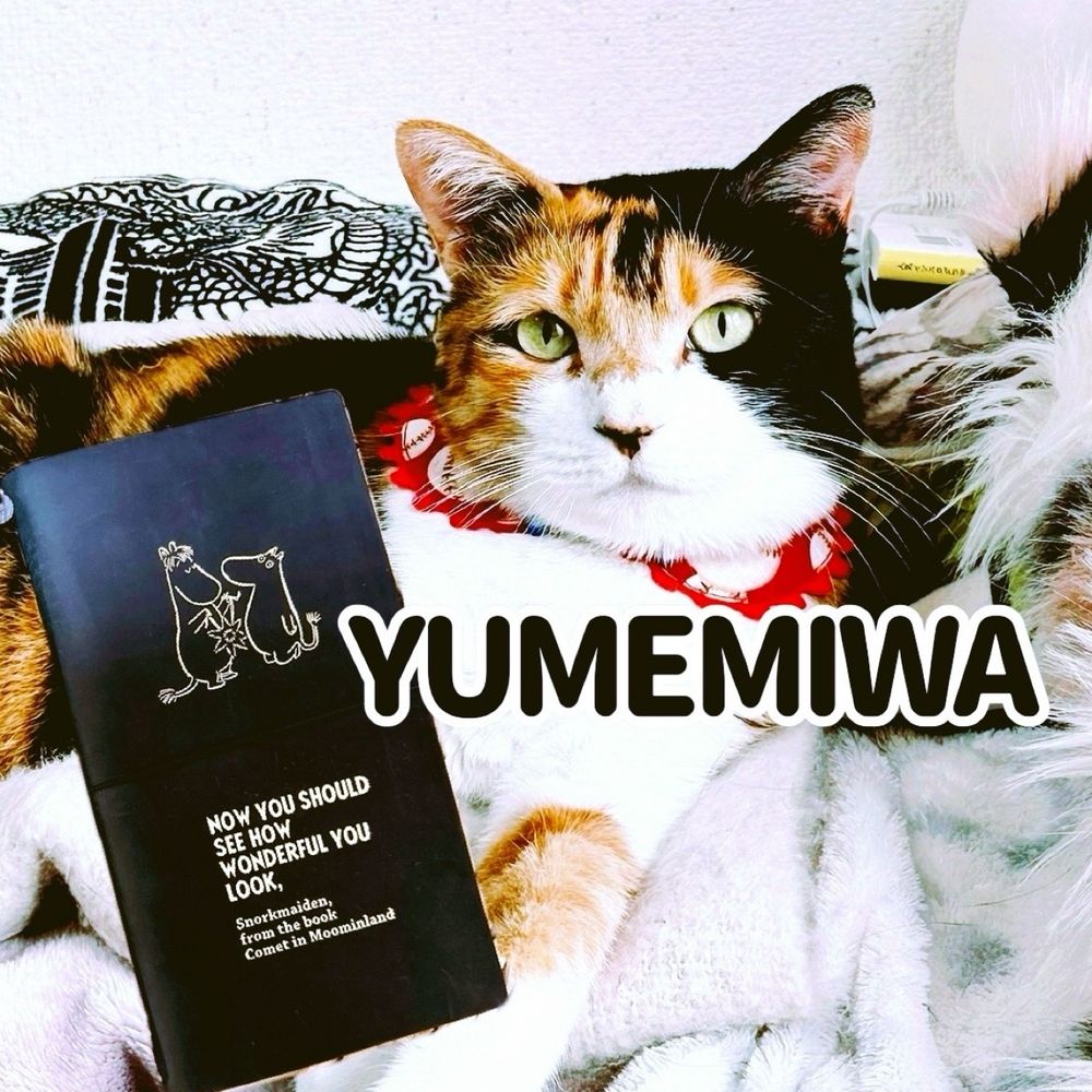 ゆめみわ🐈📓🪇YUMEMIWA