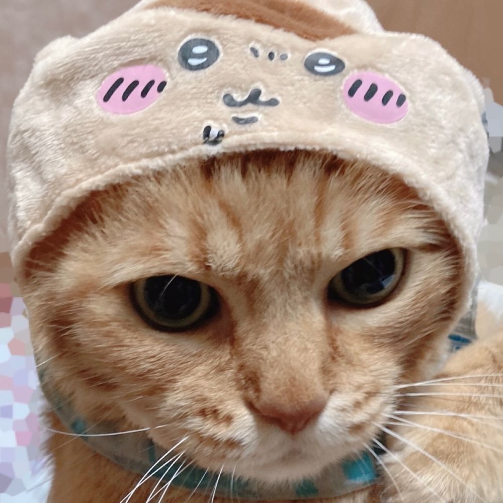 嘩己