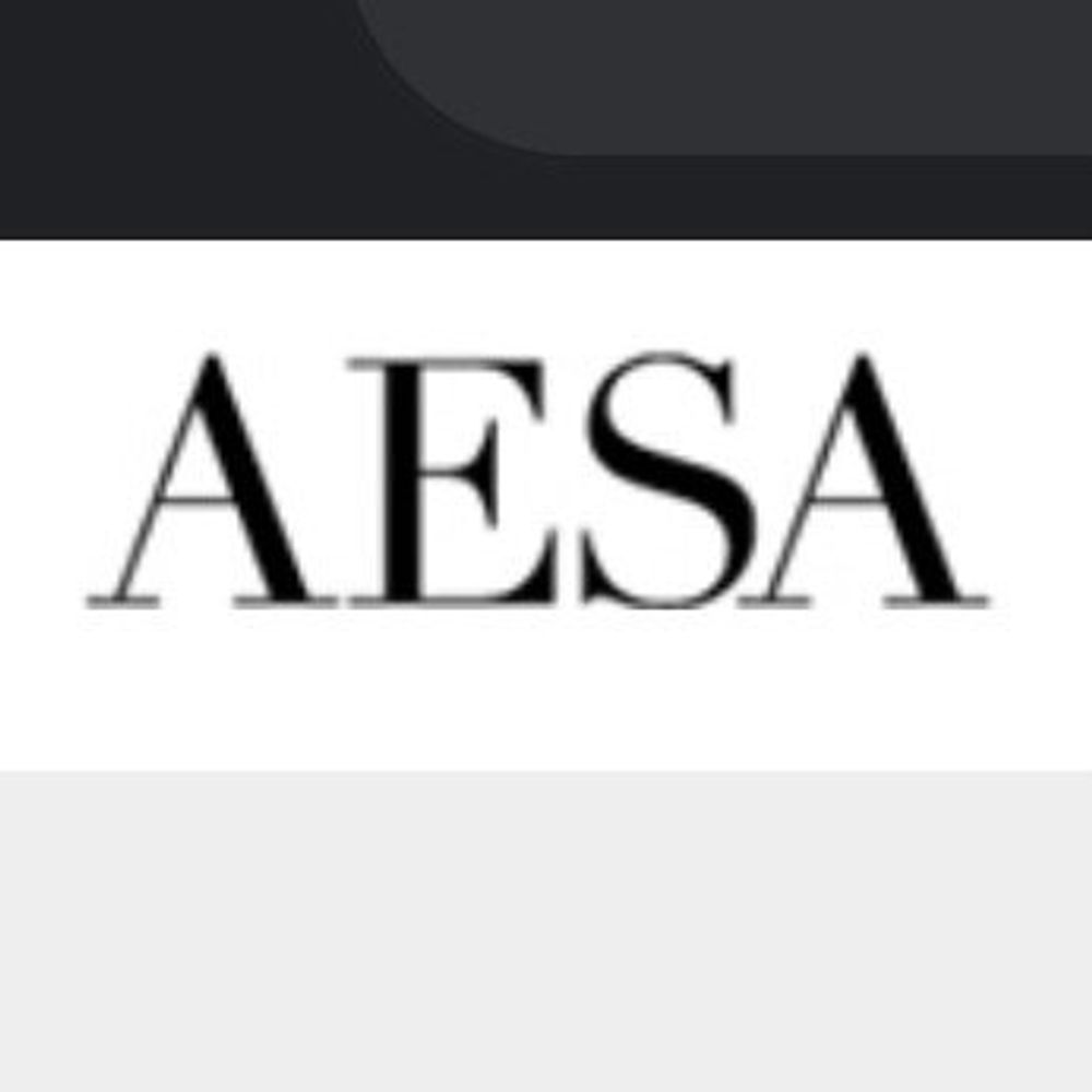 American Educational Studies Association