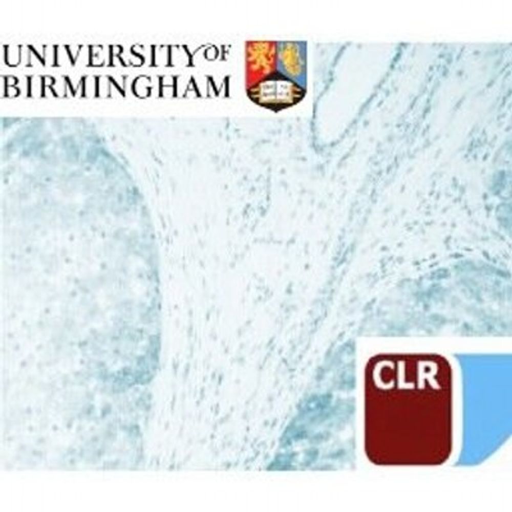 Birmingham Liver