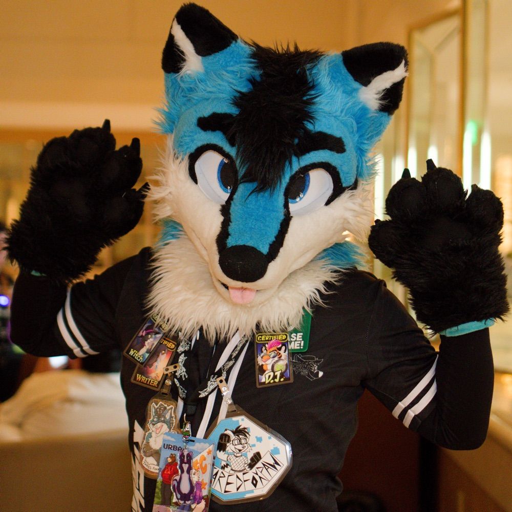 Jared Foxpaw 🔜 MFF