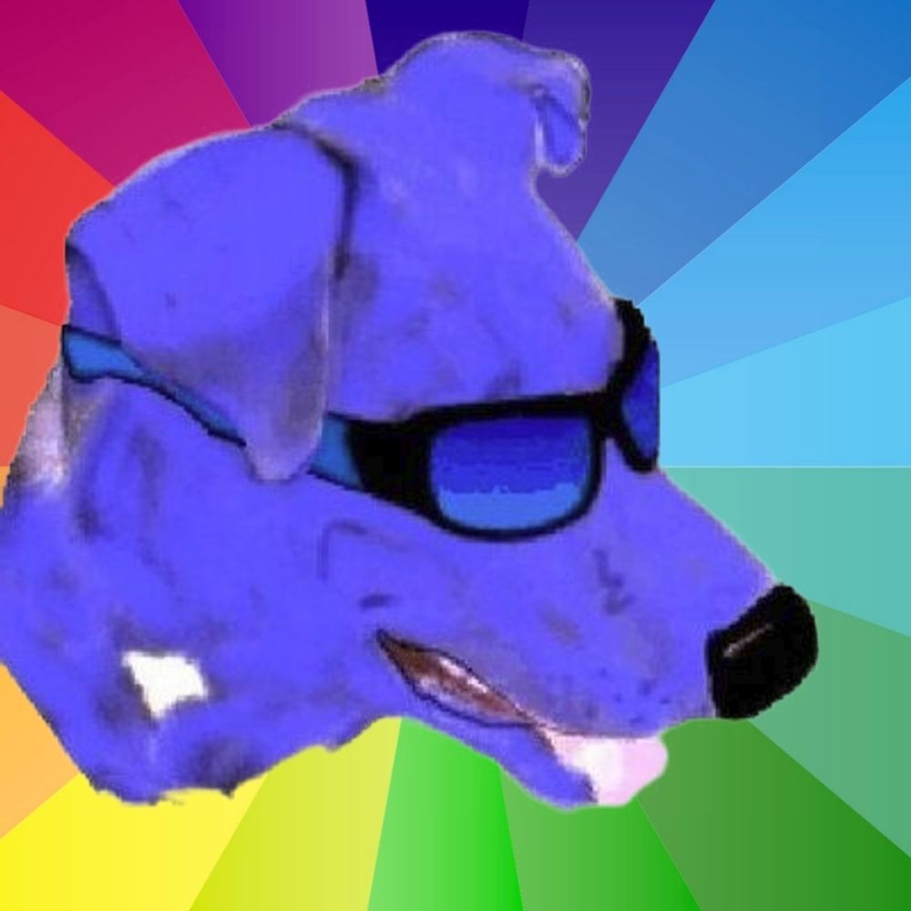 Buddy Rhodes, Dog Training Help & Expertise