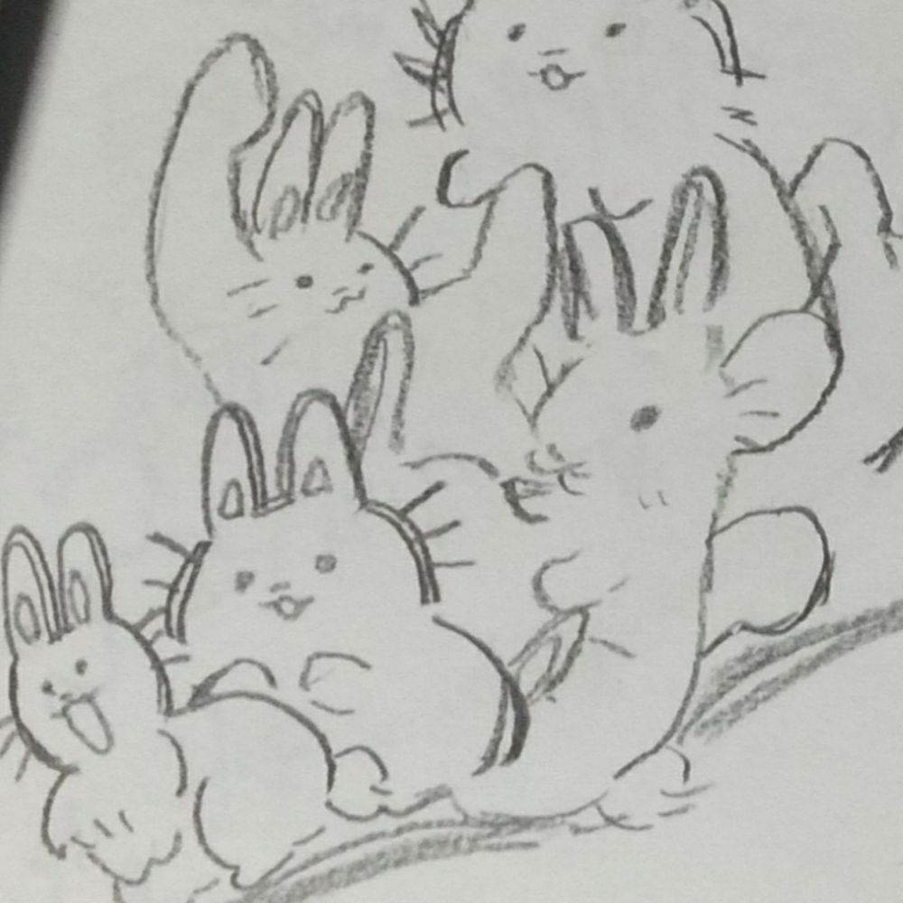 🐰