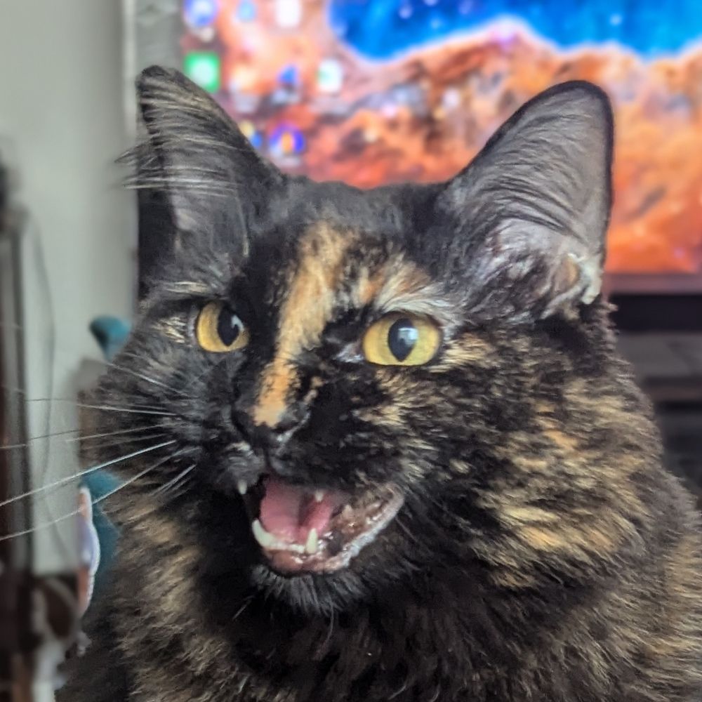 Cassidy