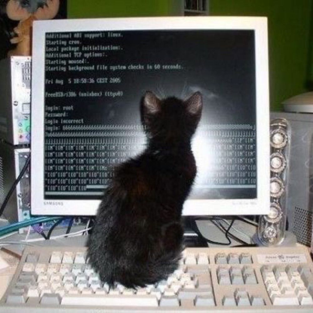 TELECAT