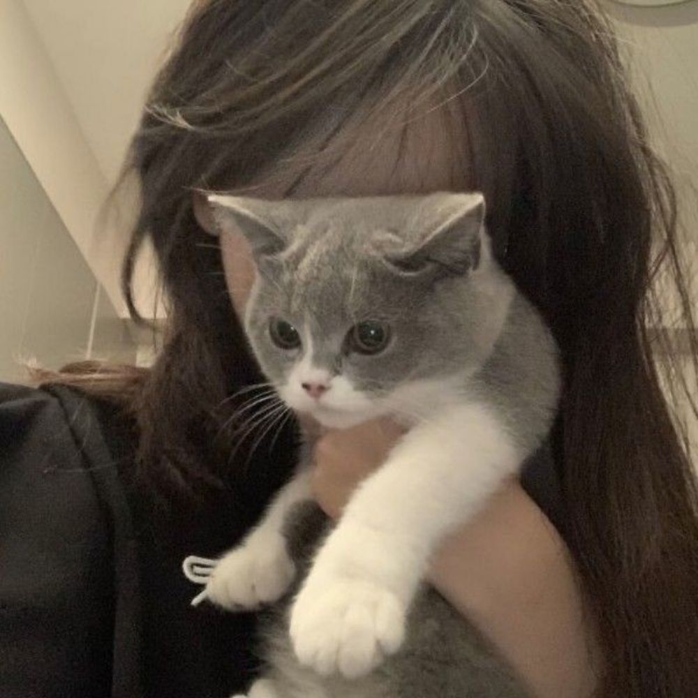서련🥀