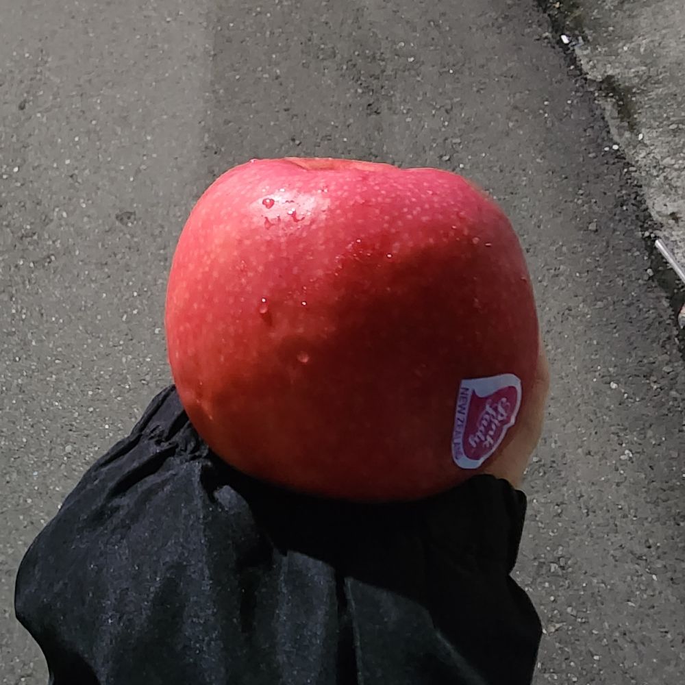 碎碎